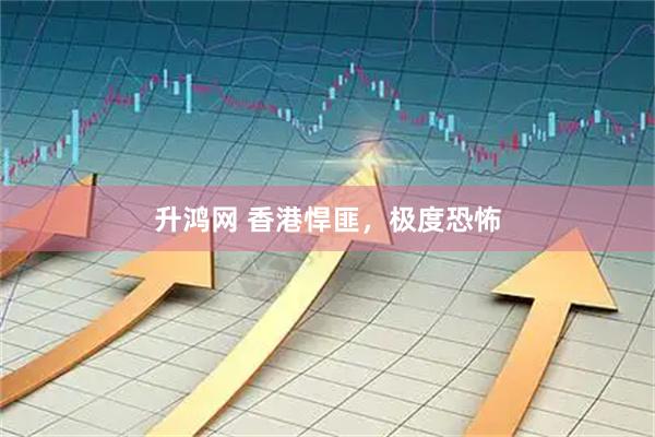 升鸿网 香港悍匪，极度恐怖